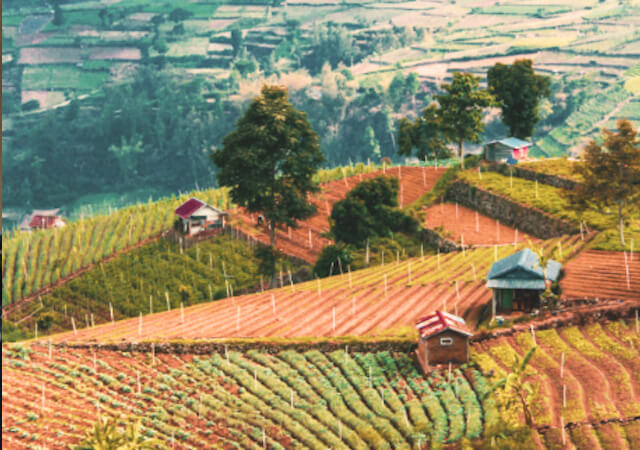 artistic landscape scene with fields, trees, scattered houses