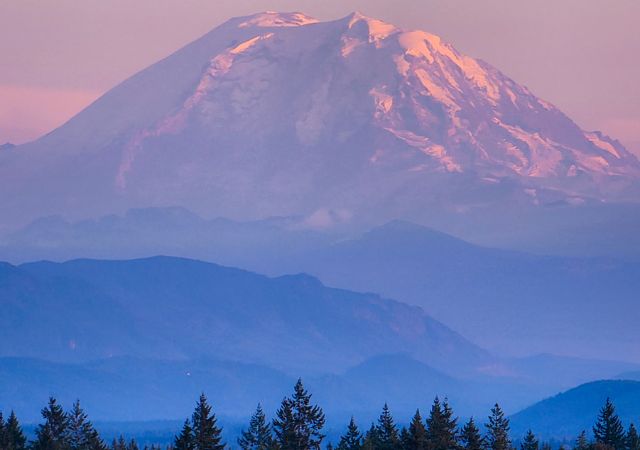 This is a picture of a mountain that is pink in the sunlight. In the foreground is a forest.