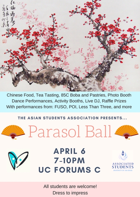 Parasol Ball Flyer