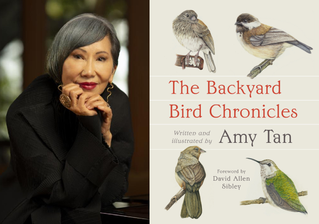 To the left is a picture of Amy Tan. To the right is her book, 'The Backyard Bird Chronicales' 