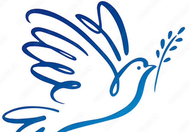 dove with leaf