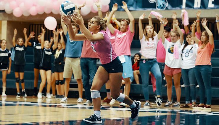 Senior Libero Payton Douglass prepares to serve during a USD volleyball match last week against Santa Clara. The match was the team's Pink Game to support breast cancer awareness, too.