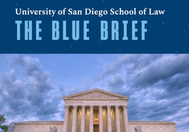 The cover of the blue brief