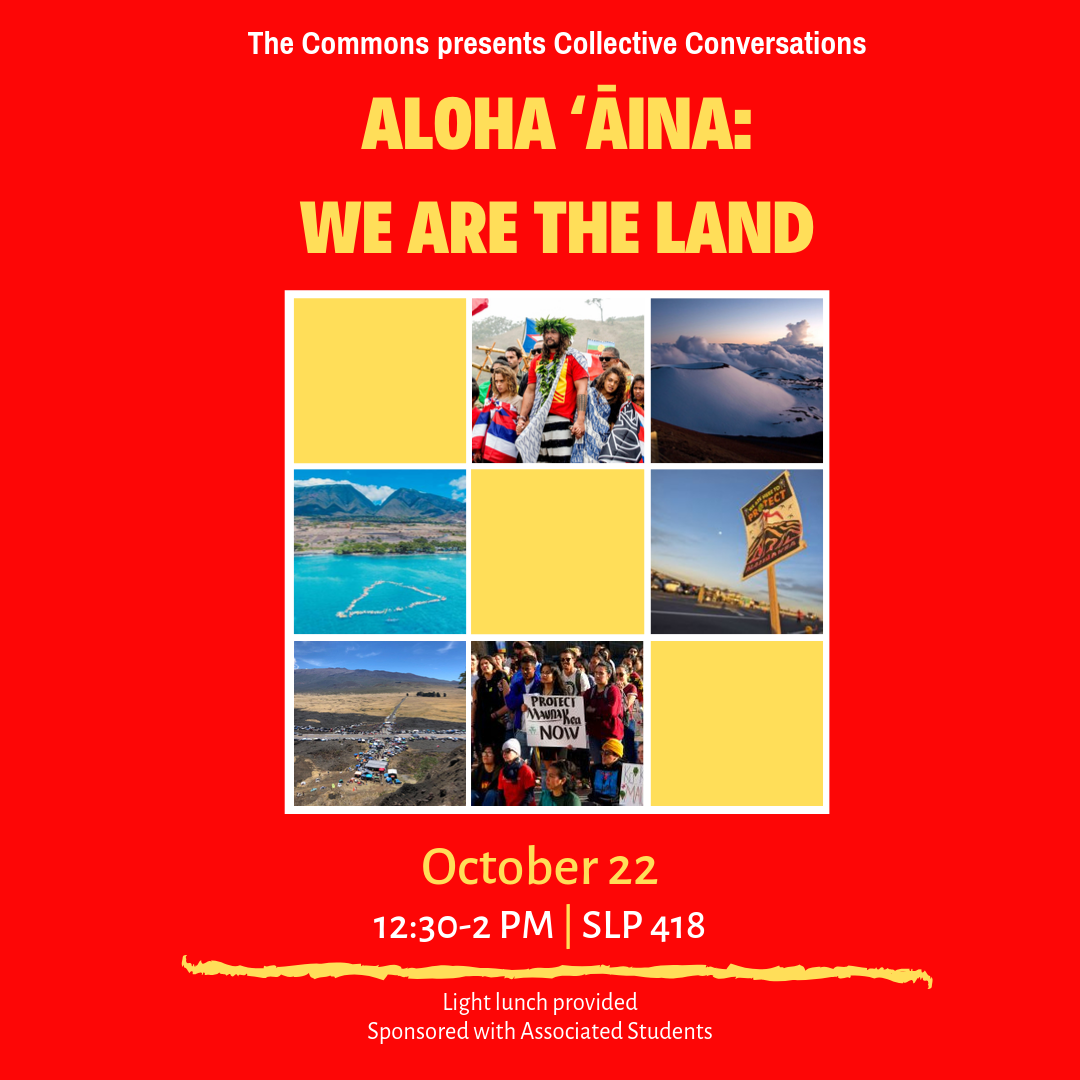 Thumbnail version of flyer