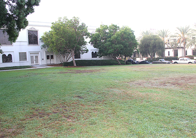 Learning Commons proposed site.