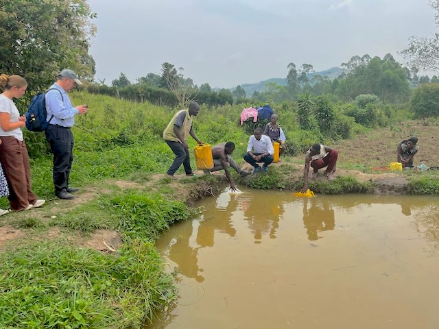 USD in Uganda