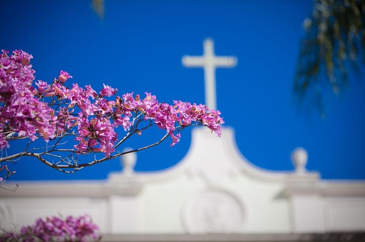Cross at USD
