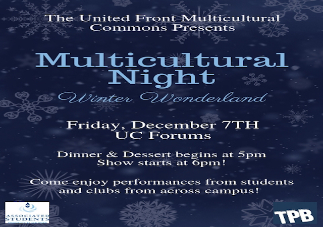Multicultural Night Flyer