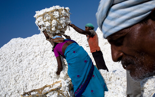 Labourers in Vidharbha region in Maharashtra, India. Photo by Sanjit Das/Panos