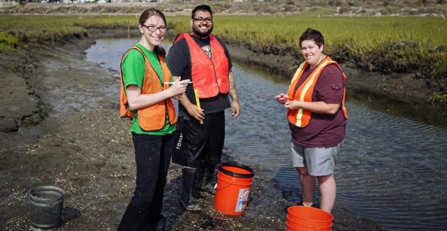 Ric DeSantiago, middle, did hands-on fieldwork research this summer.