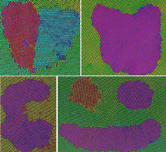 Differently oriented grains within a 2D colloid, created with optical blasting