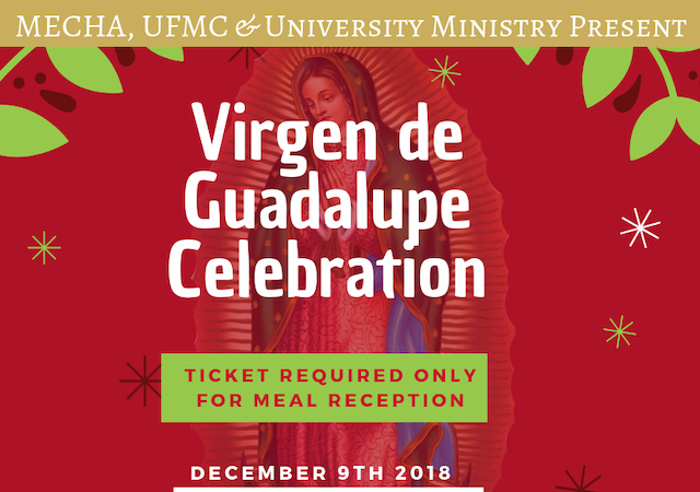 Virgen de Guadalupe Celebration