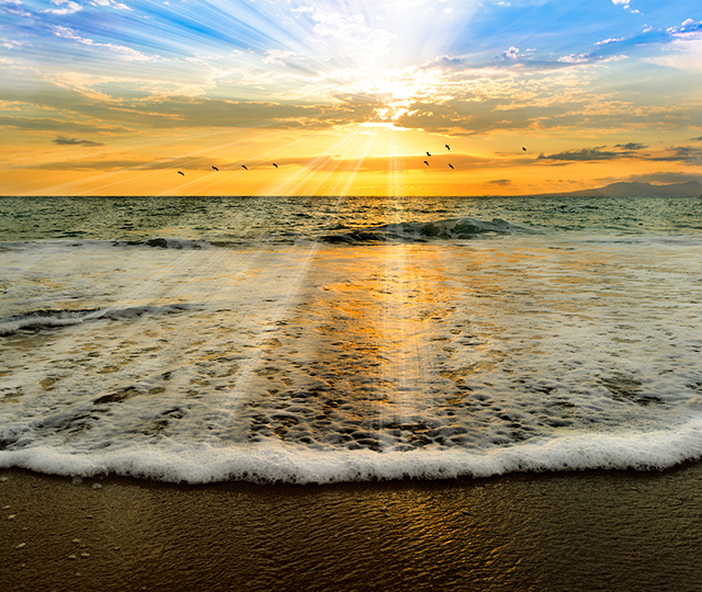 sunset