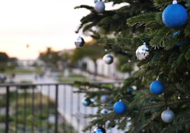 Campus Christmas tree looking out at Colachis Plaza