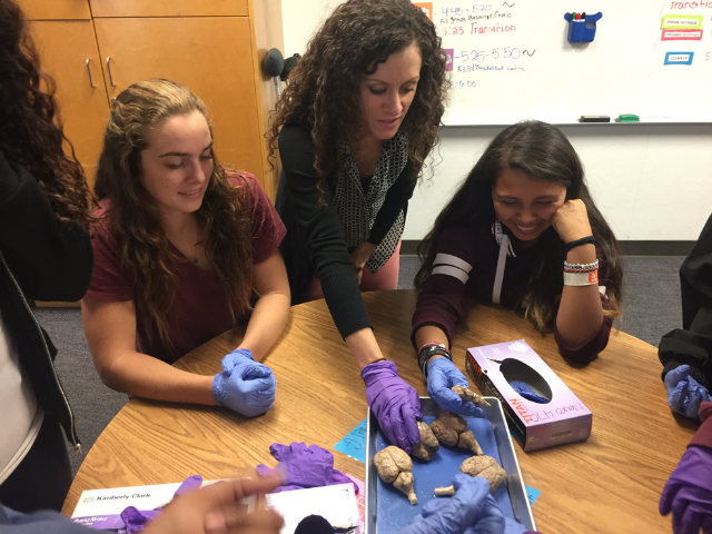 Dr. Jena Hales with USD and Teen Center students discussing neuroscience of sheep brains.