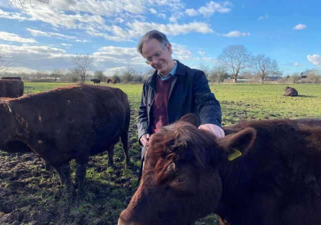 This is a picture of Clough in a field with cows.