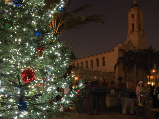 Tree Lighting