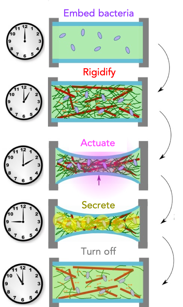 Graphic of Research