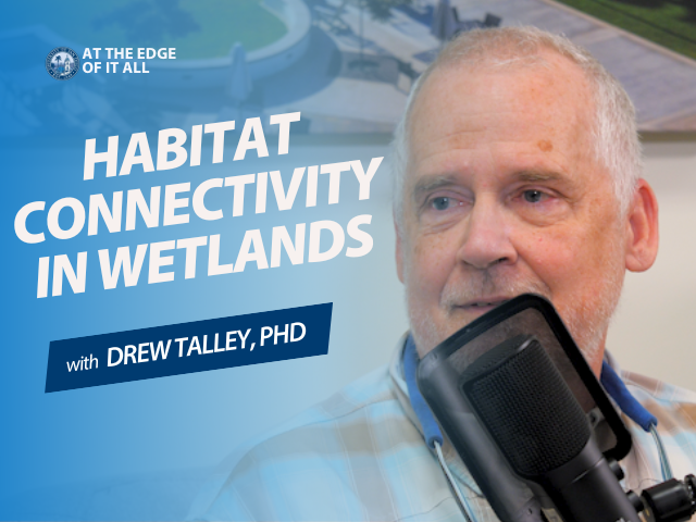 Drew Talley Podcast Image