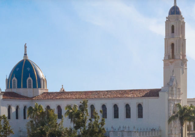 The Immaculata