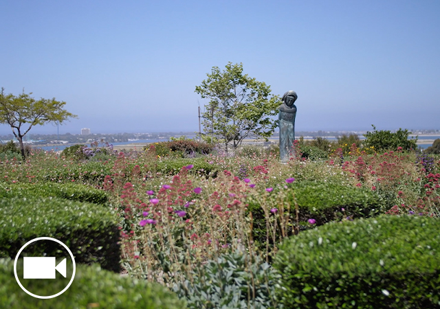 A sunny day in the Garden of the Sea behind the KIPJ