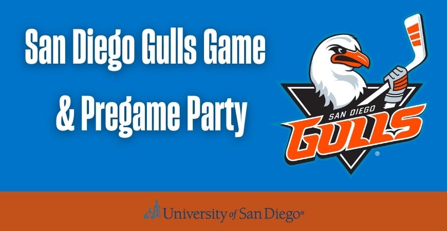 Gulls Game