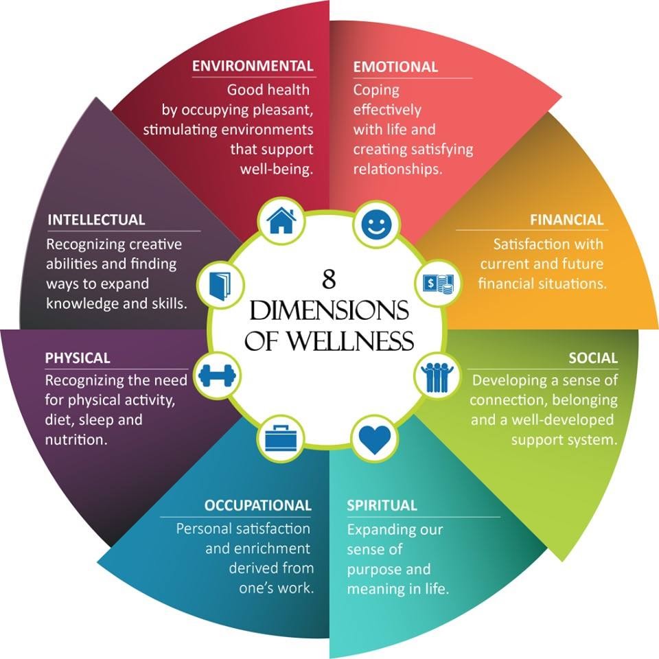 dimensions of well-being infographic